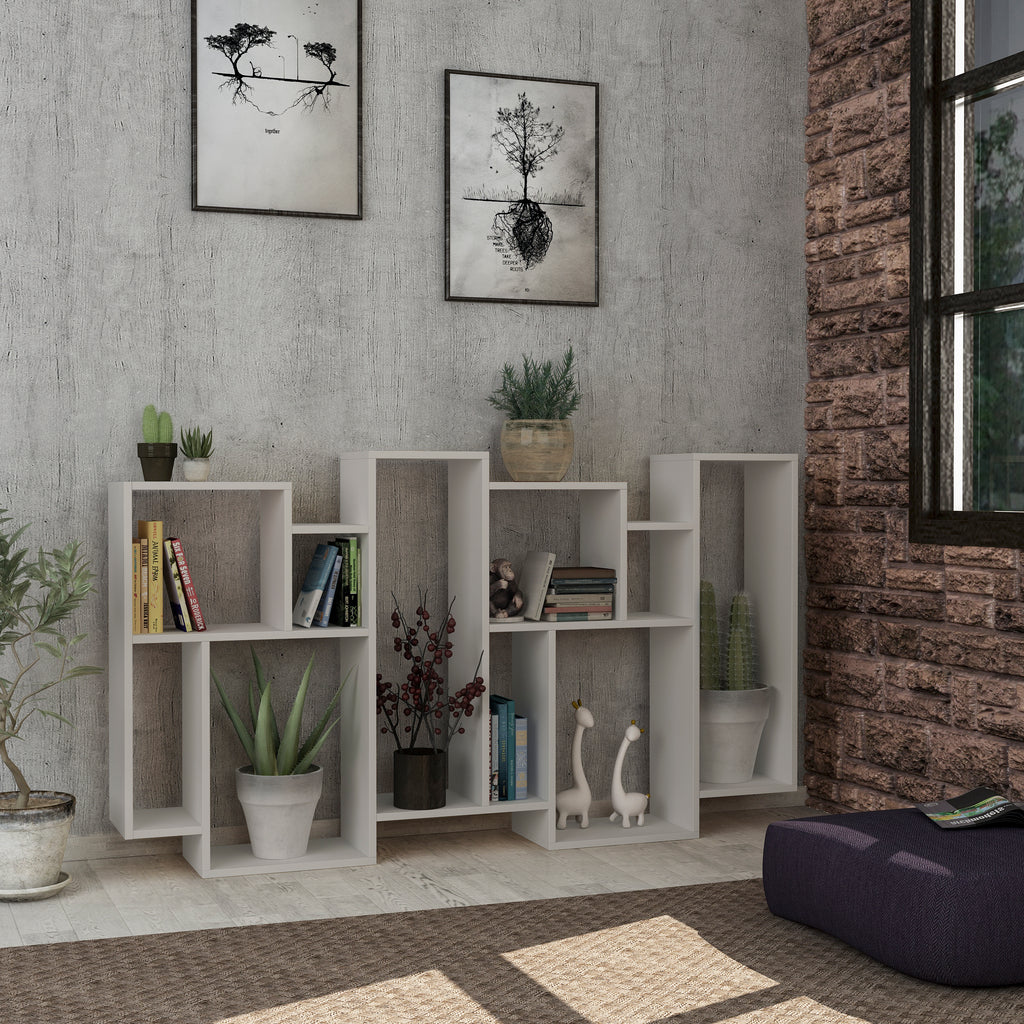 Bookcase in UAE