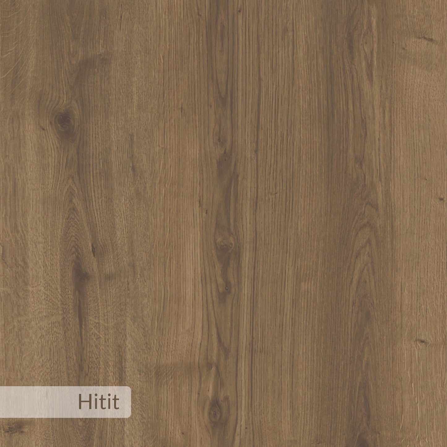 Mourah Colmar Working Table - 2 Years Warranty