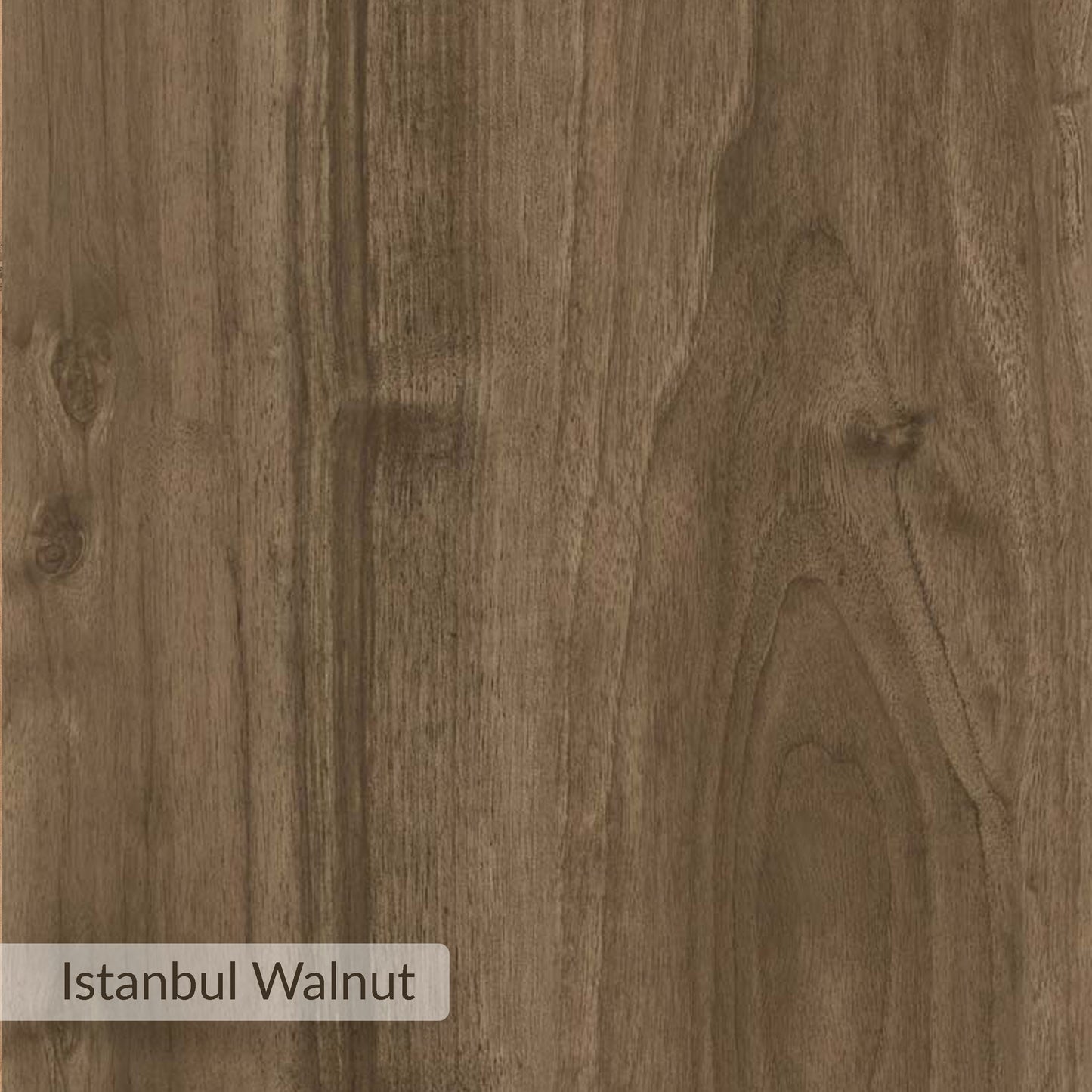 Sable Coffee Table