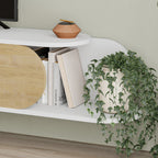 modern TV units in Dubai